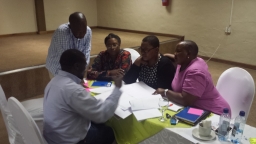 2015, 07 - 09 December: Organisational Structure Design Workshop for  the Lesotho Electricity Company (LEC). 2019-01-16