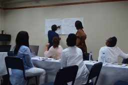 2017, 29 -31 June: Strategy development session for the Eswatini Financial Services Regulatory Authority 2019-01-10