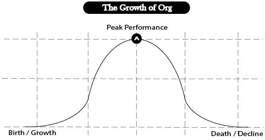 The Life Cycle of Org