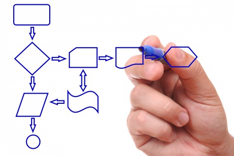 Org-Design---Process-Flow